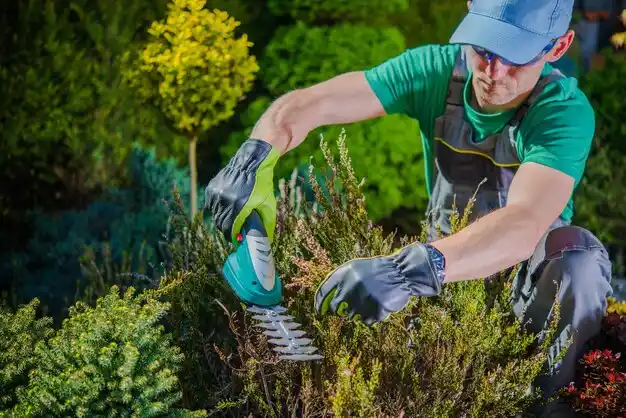 landscaping services Atlantic Beach